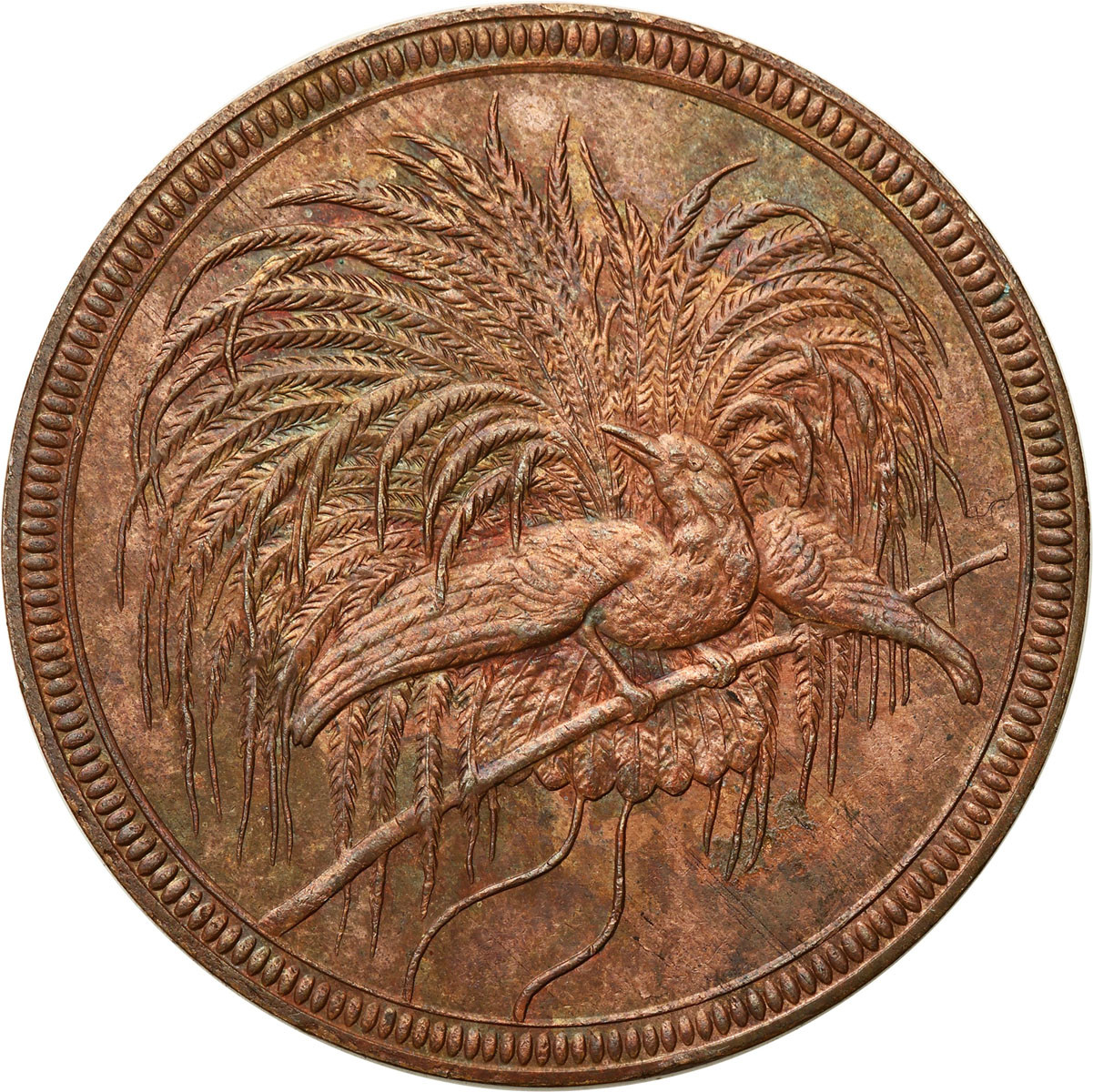 Niemcy / Nowa Gwinea. 10 fenigów 1894 A, Berlin - RZADKIE